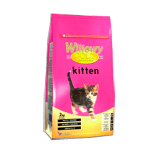 Willowy Gold Kitten
